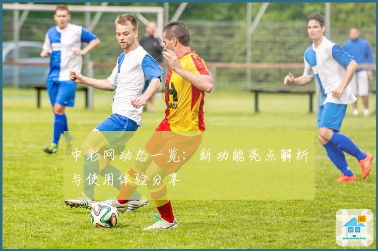 中彩网动态一览:新功能亮点解析与使用体验分享
