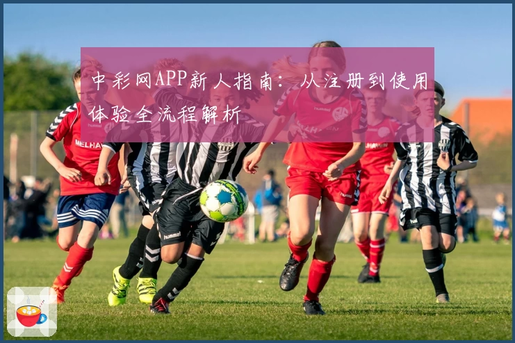 中彩网APP新人指南：从注册到使用体验全流程解析
