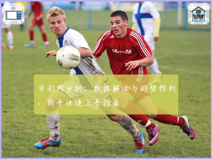 中彩网分析：数据解读与趋势预判，新手快速上手指南