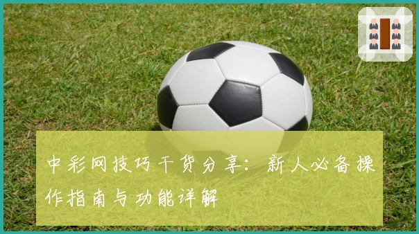 中彩网技巧干货分享：新人必备操作指南与功能详解