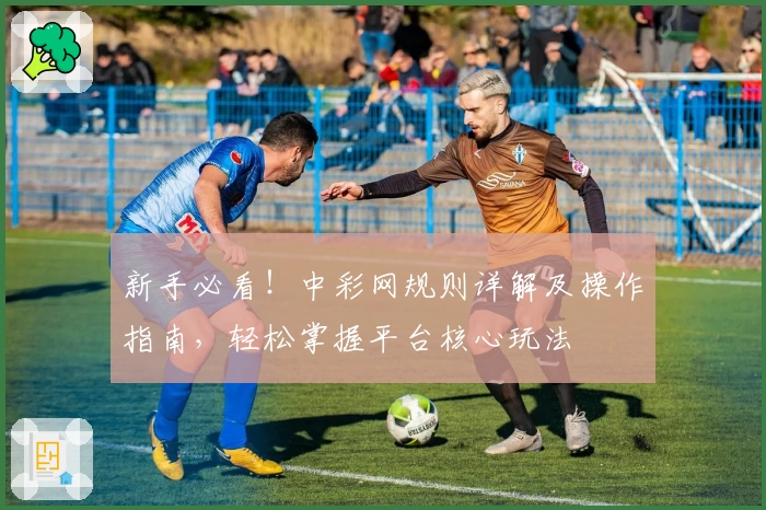 新手必看！中彩网规则详解及操作指南，轻松掌握平台核心玩法