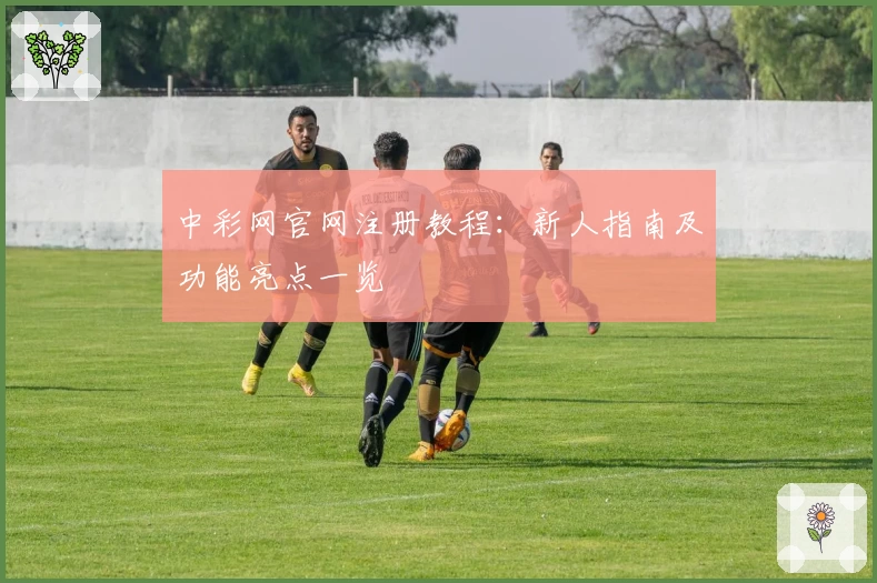 中彩网官网注册教程：新人指南及功能亮点一览