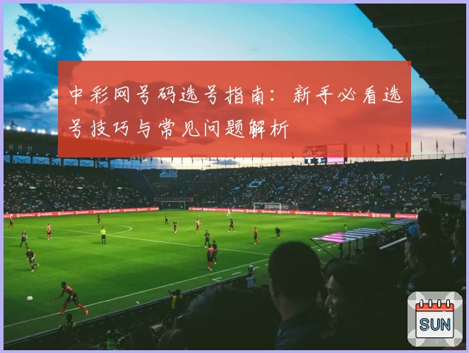 中彩网号码选号指南：新手必看选号技巧与常见问题解析