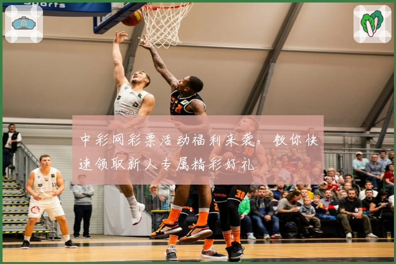 中彩网彩票活动福利来袭，教你快速领取新人专属精彩好礼